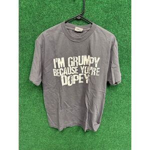 Disney World Gray 7 Dwarves T-Shirt Sz Large Grumpy & Dopey